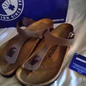 Birkenstock Brown Sandals
